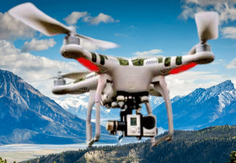 1000021174219657216369391734