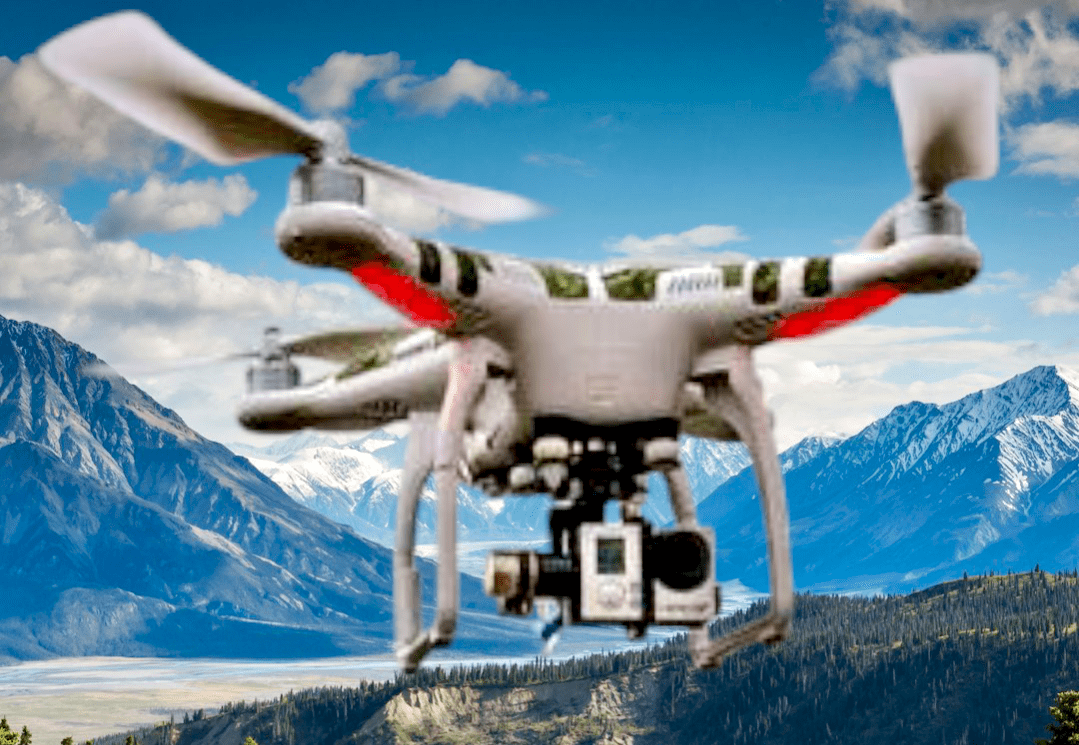 1000021174219657216369391734