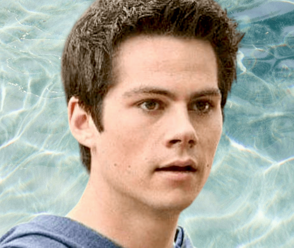 10000211869132330219563461918