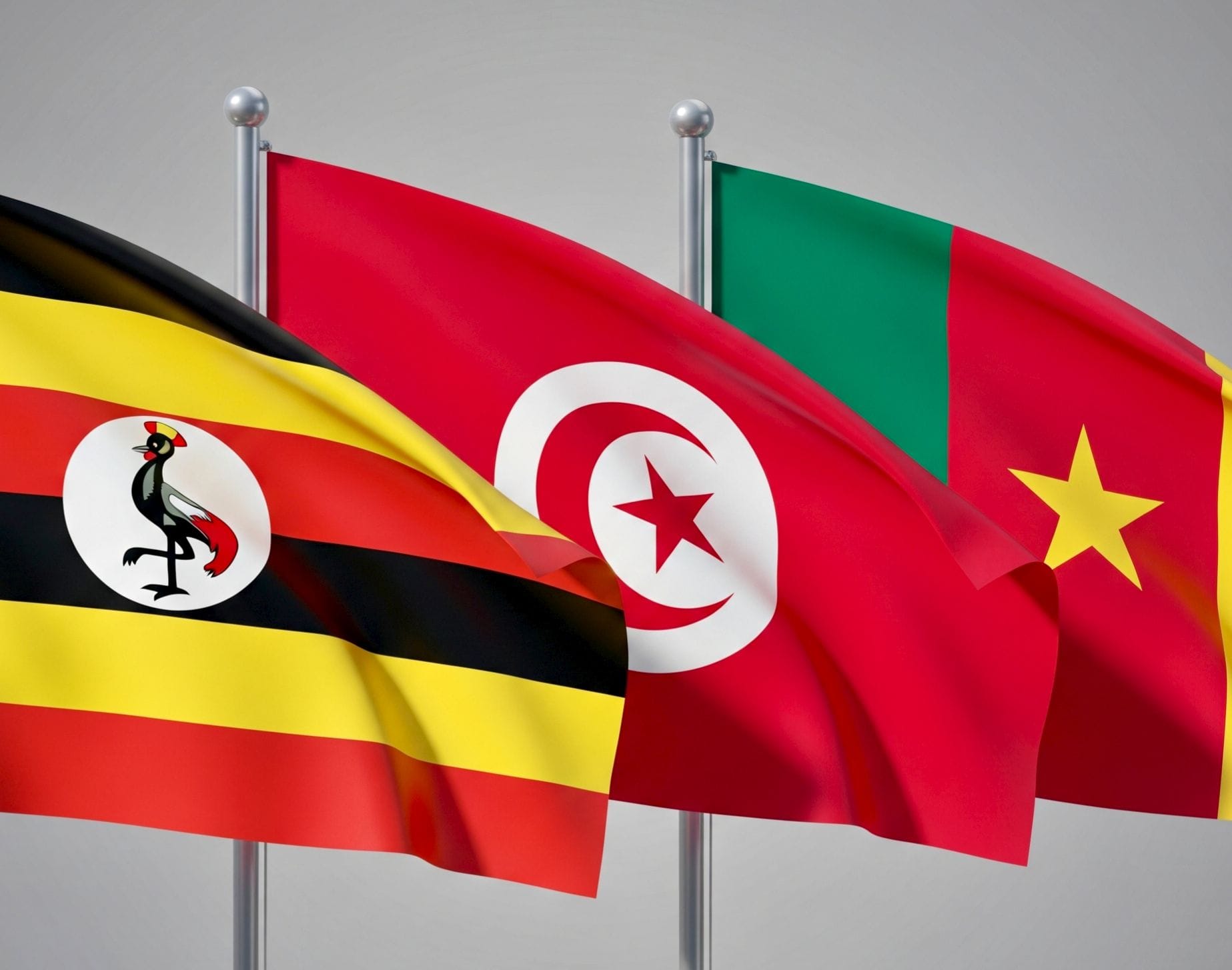 img_20250822_1146594688480405963511296